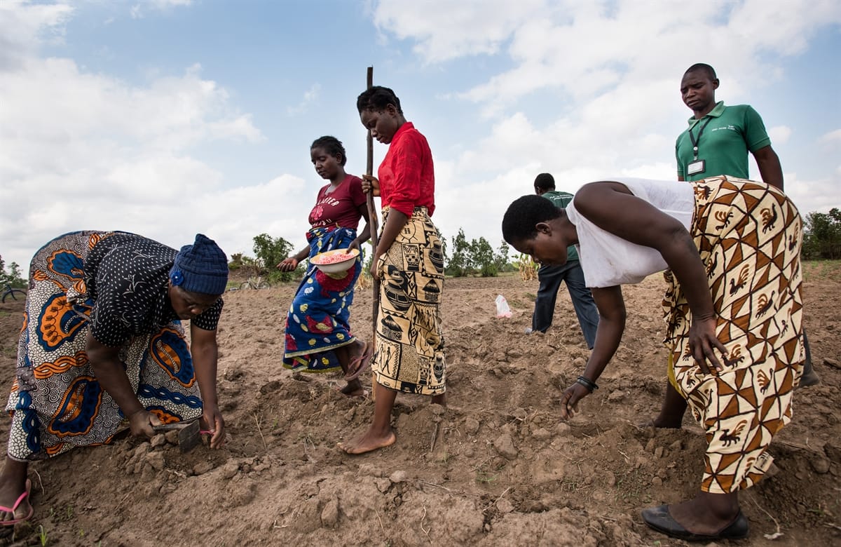 CLIMATE FUNDS SHOULD TARGET SMALLHOLDER FARMERS