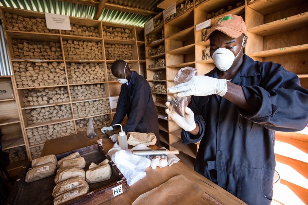 One Acre Fund Kakamega Soil Lab Behind the Scenes at One Acre Fund’s Soil Lab