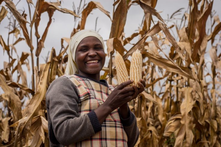 Celebrating Women Farmers: the Backbone of Africa's Rural Agriculture