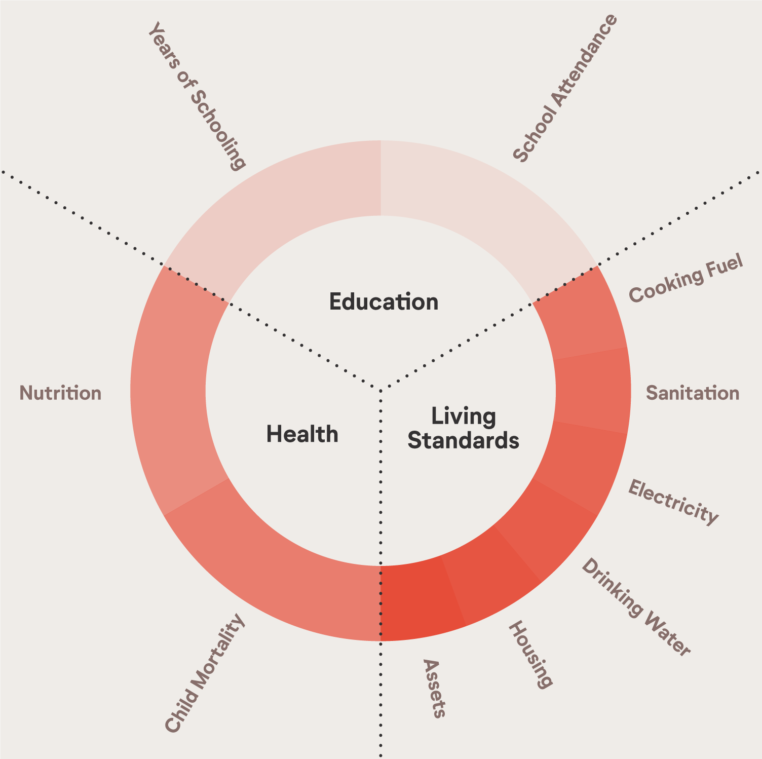 Updated Charity Evaluation Framework & Cause Funds